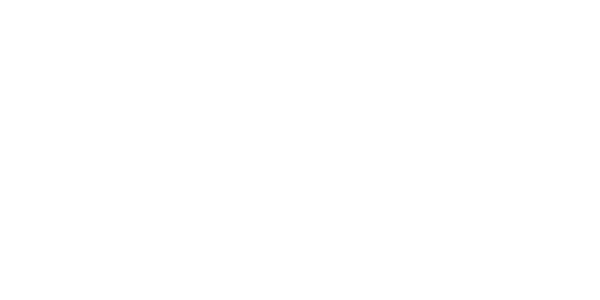 FASTSPINHK